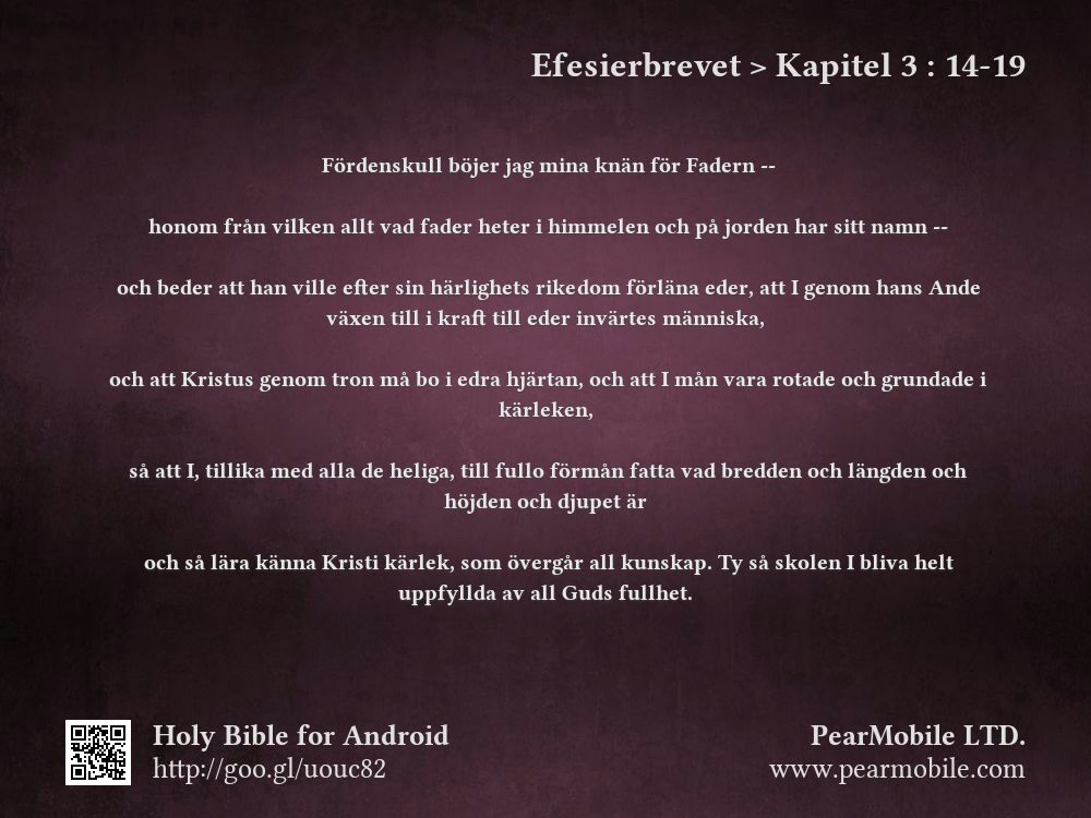 Efesierbrevet, Kapitel 3:14-19